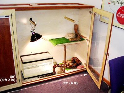 large boa enclosure